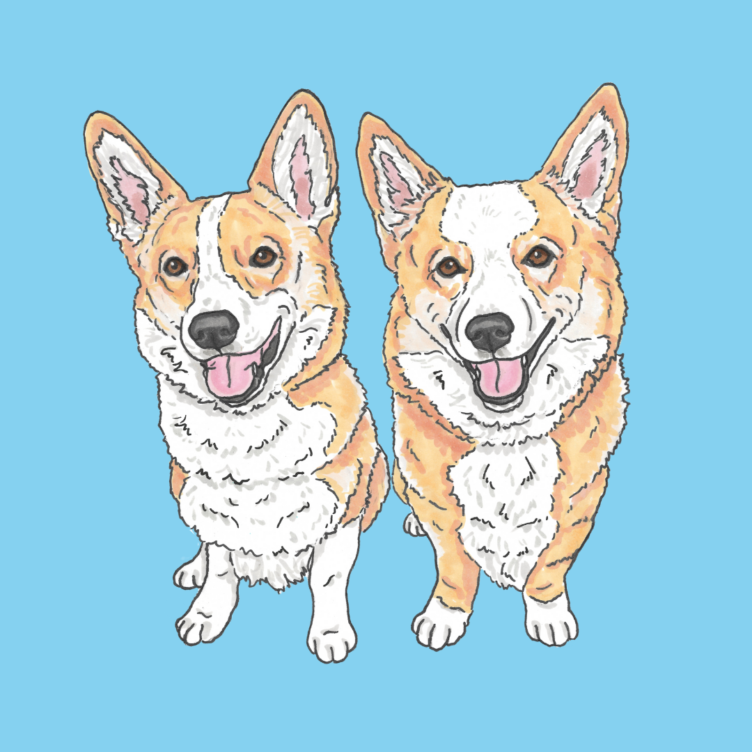 Pet Portrait Illustration