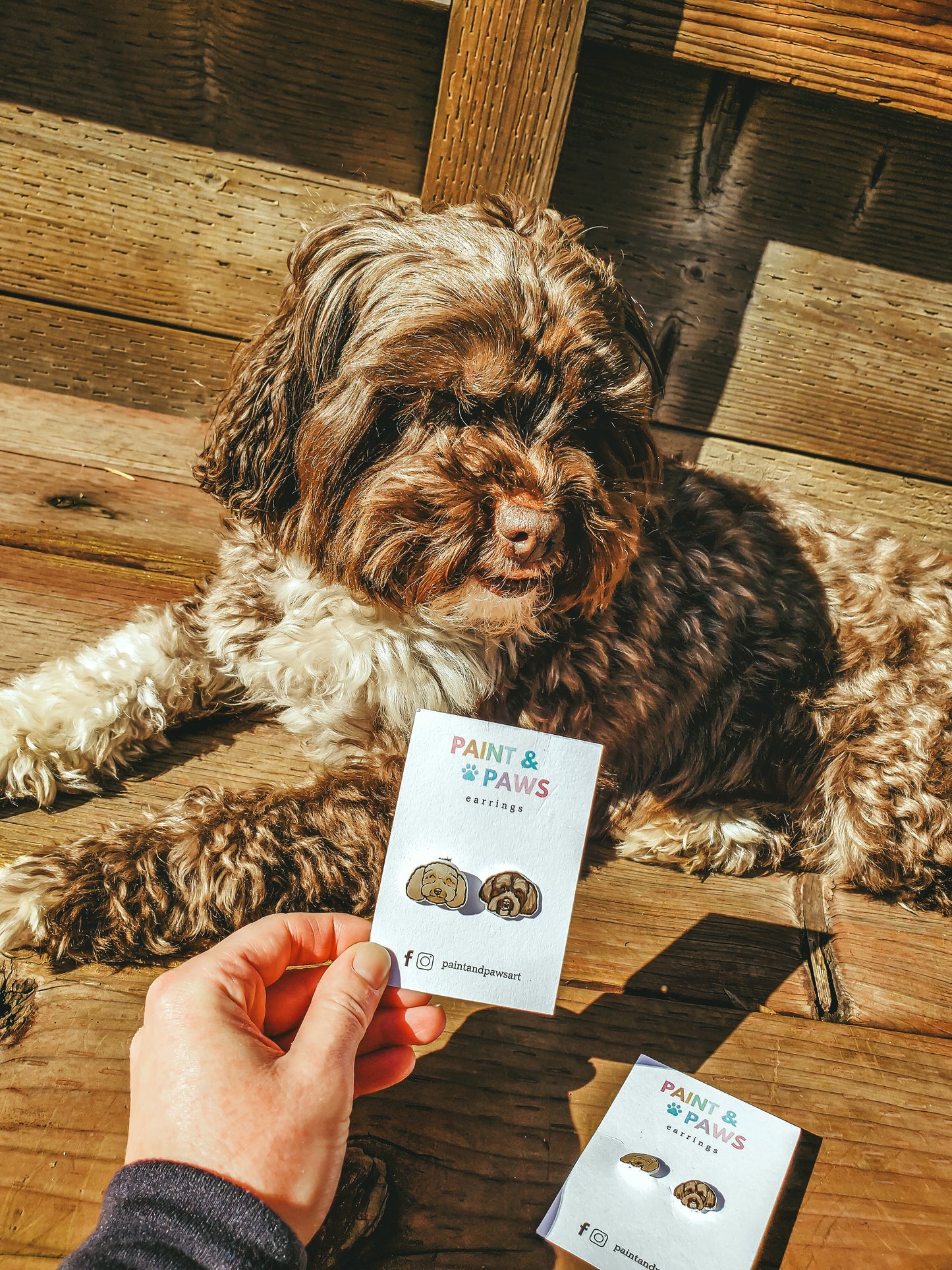 Painted Pet Portrait Cufflinks