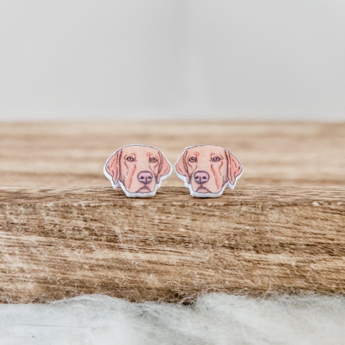 Painted Pet Stud Earrings