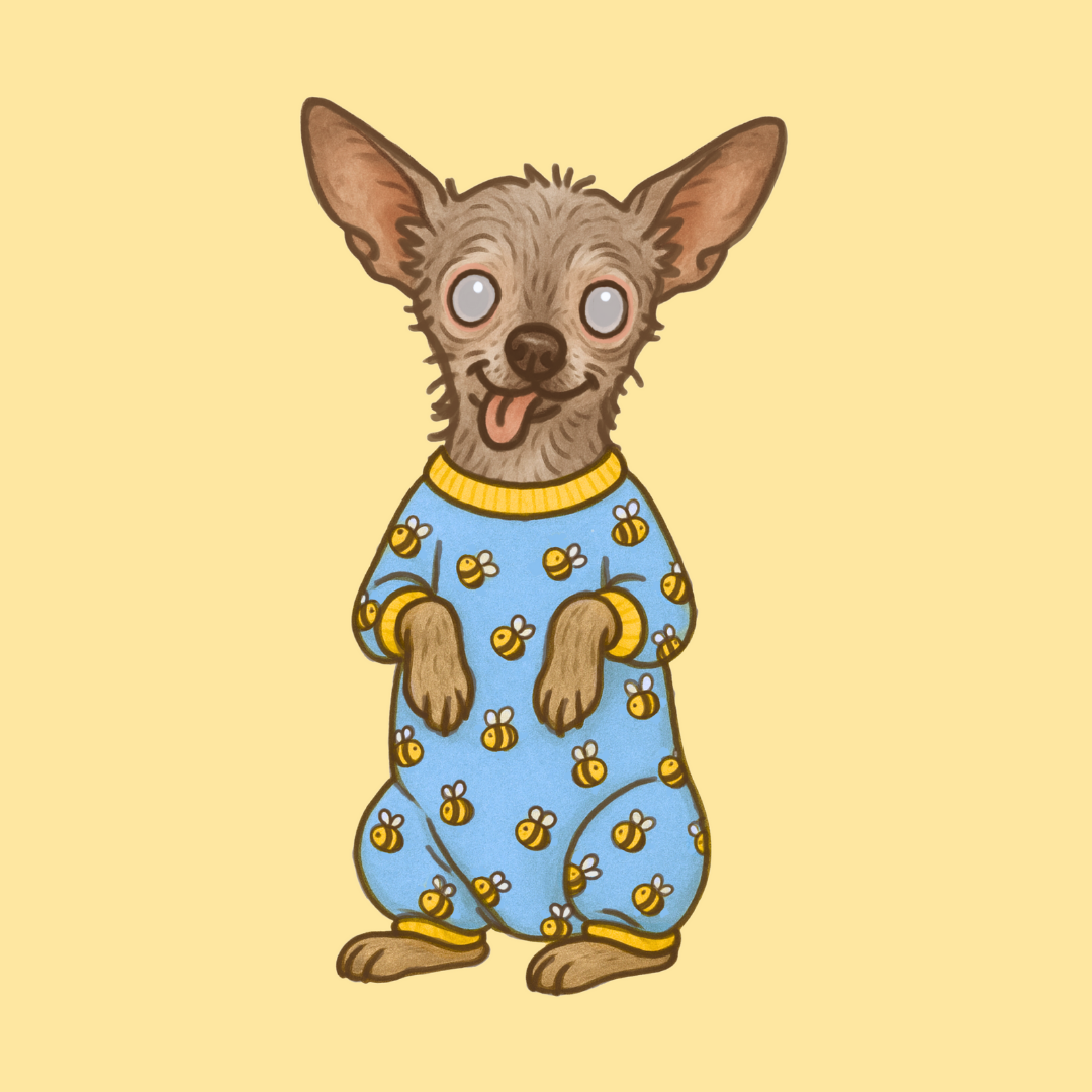 Pet Sketch