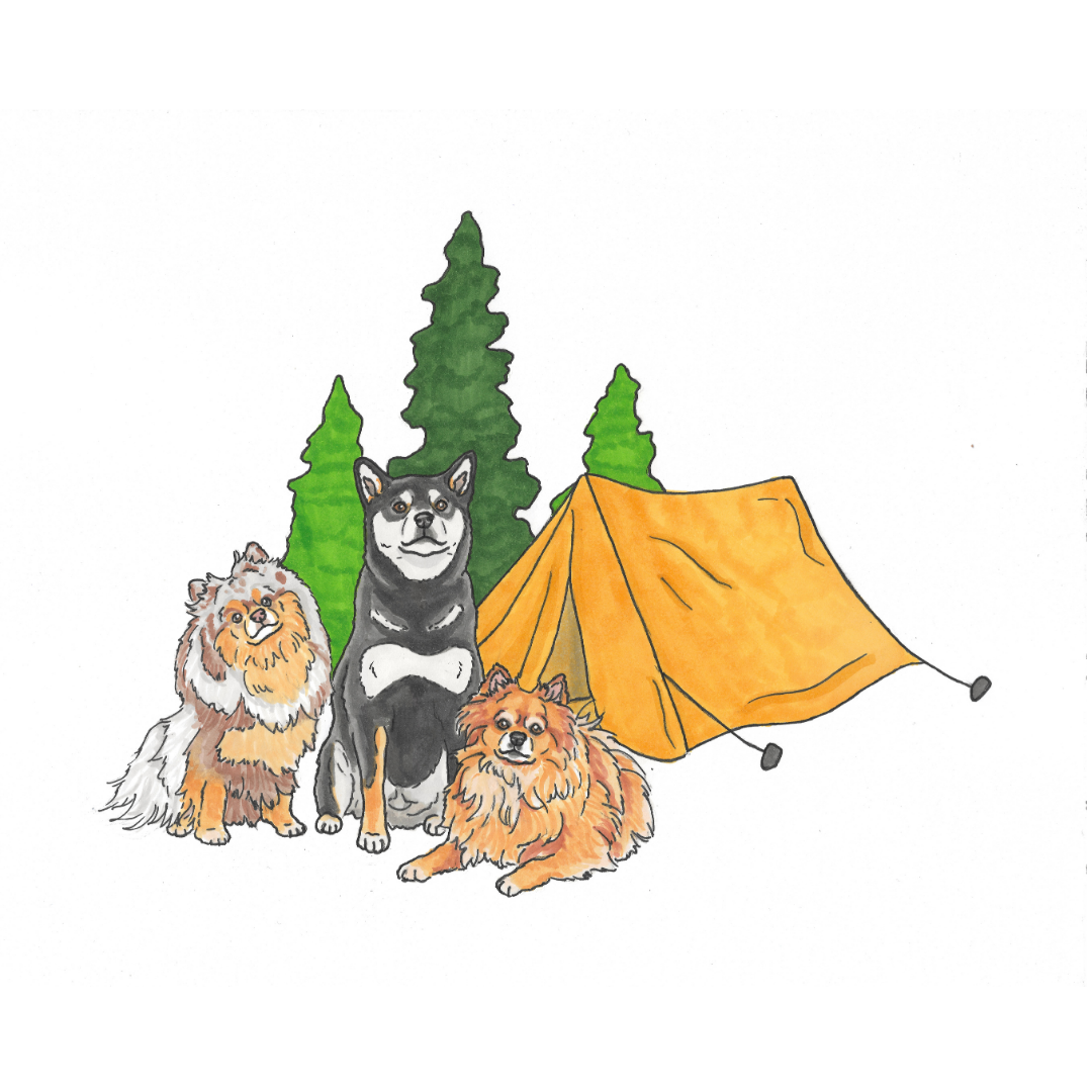 Summer Pet Portrait Illustration