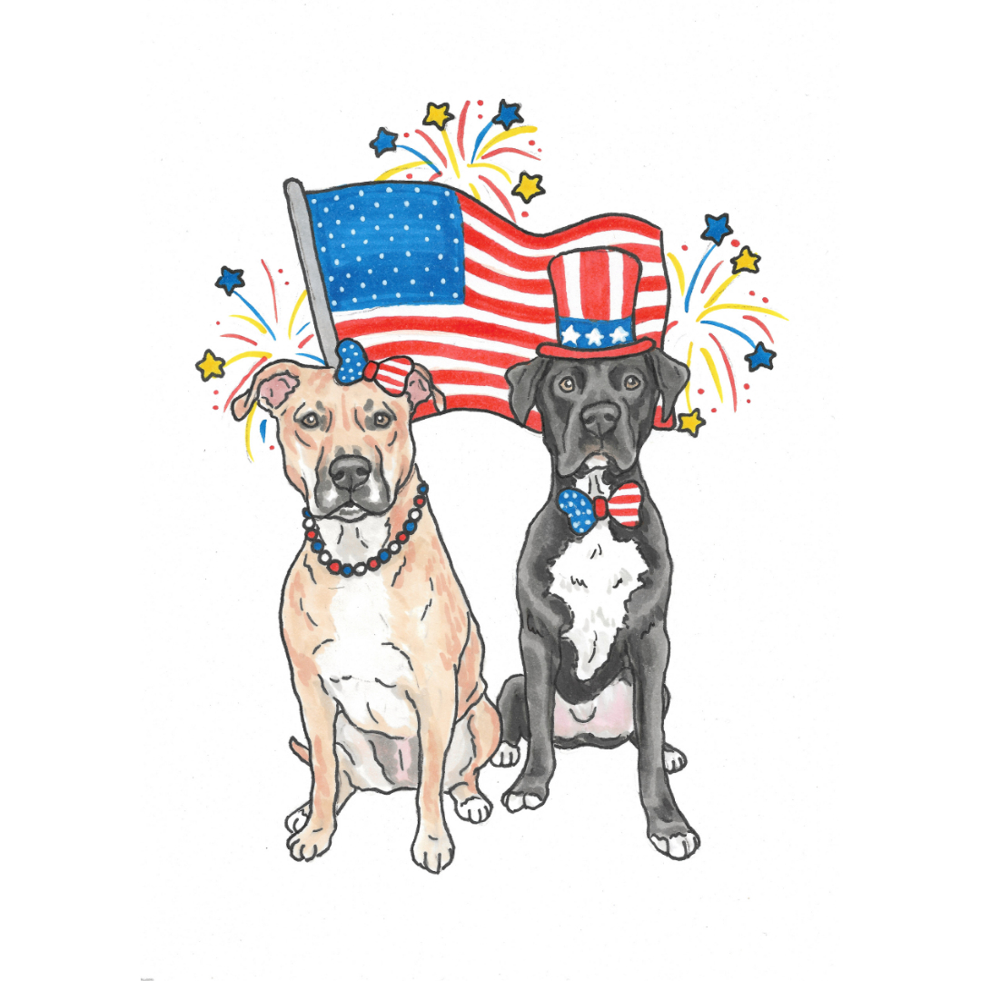 4th of July Pet Portrait Illustration