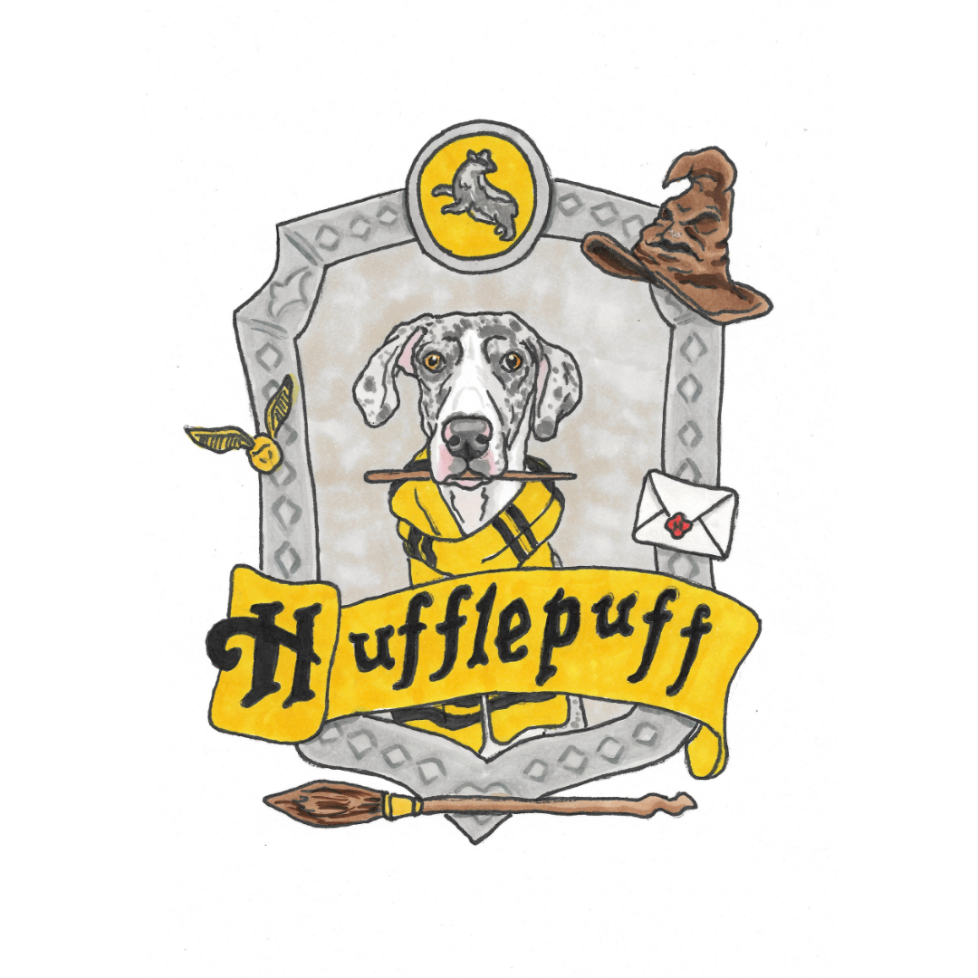 Wizard Pet Portrait Illustration