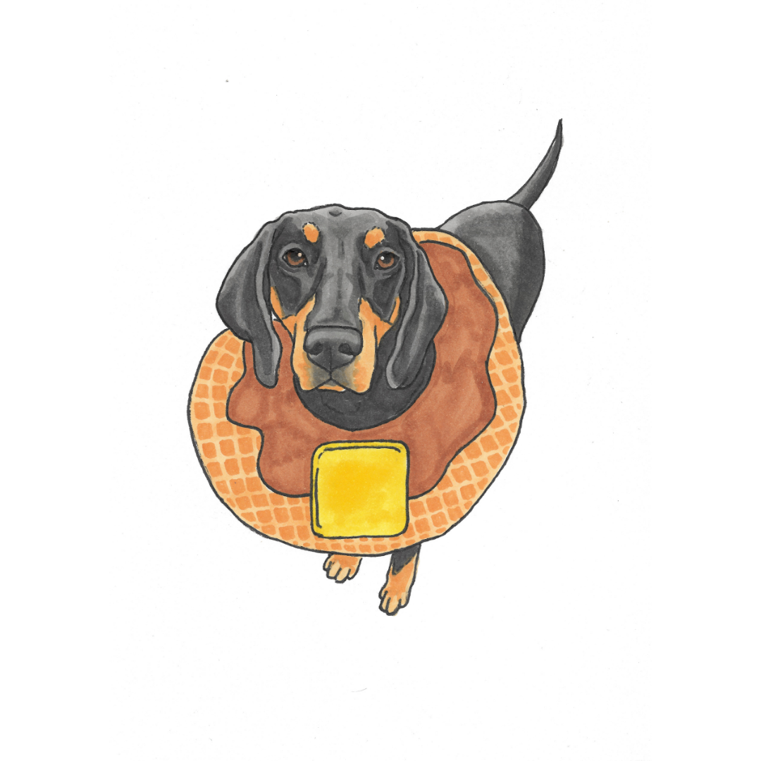 Halloween Pet Portrait Illustration