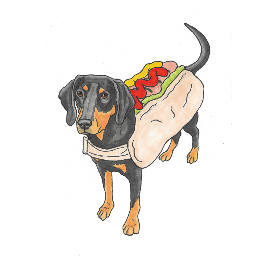Halloween Pet Portrait Illustration