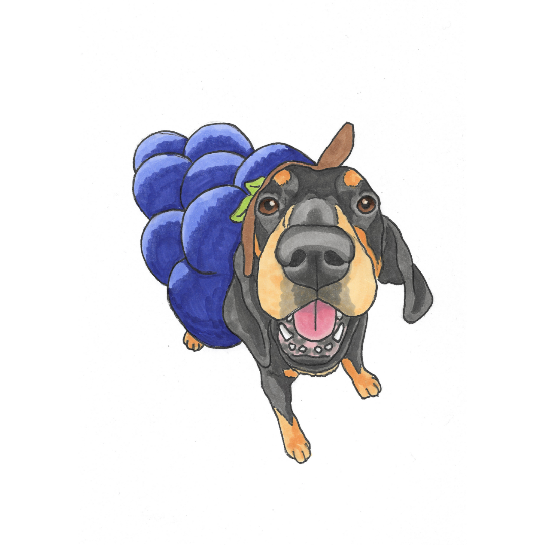 Halloween Pet Portrait Illustration