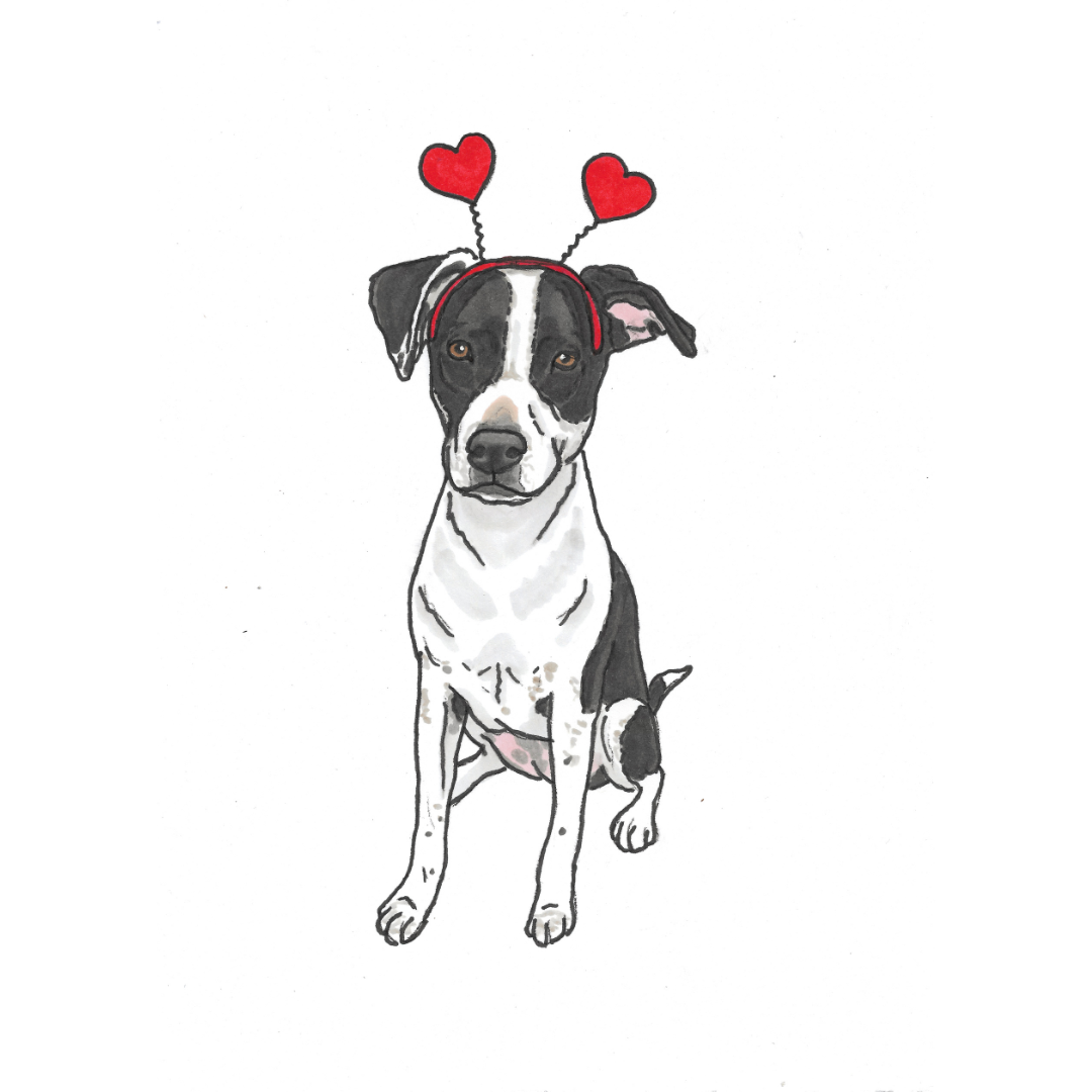 Valentine's Day Pet Portrait Illustration
