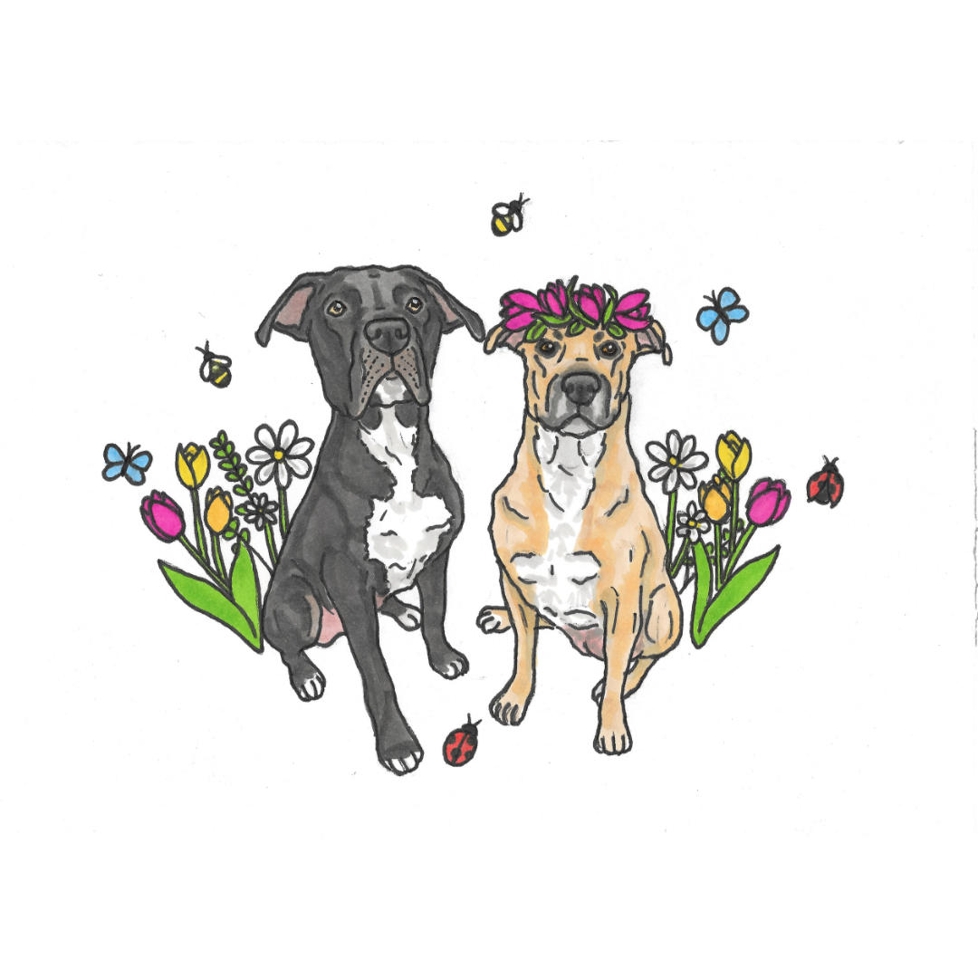 Spring & Easter Pet Portrait Illustration