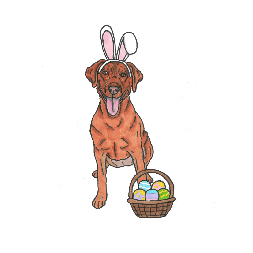 Spring & Easter Pet Portrait Illustration