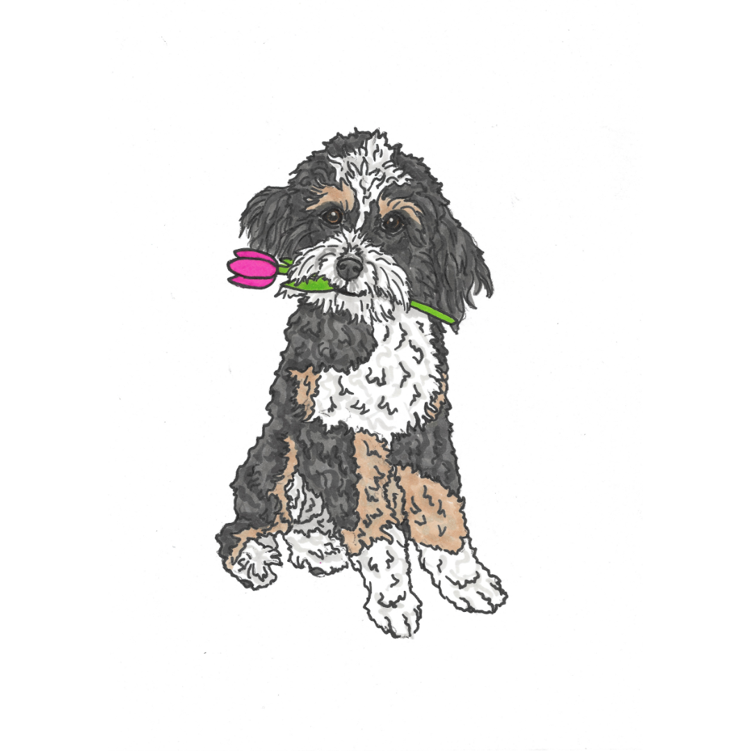 Spring & Easter Pet Portrait Illustration
