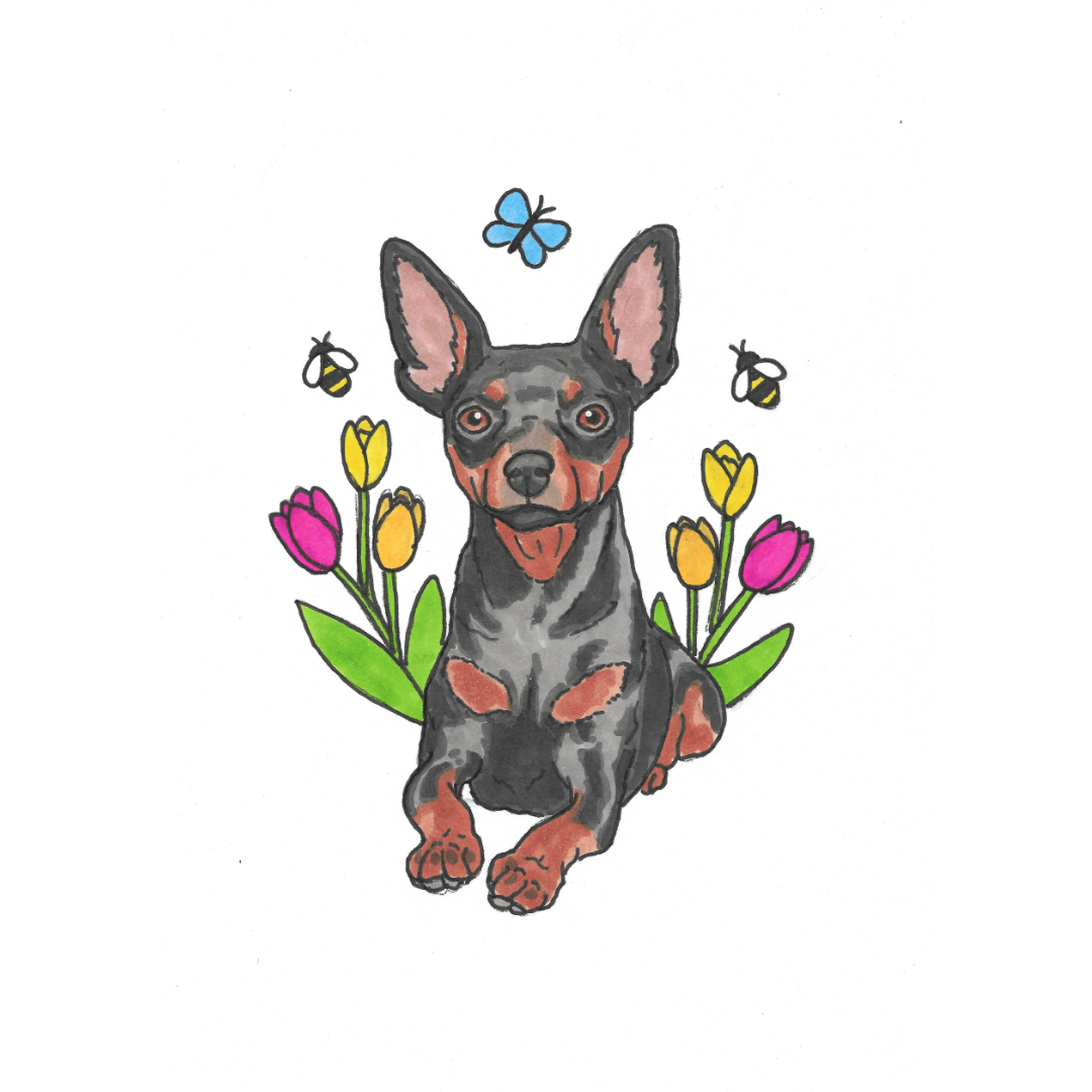 Spring & Easter Pet Portrait Illustration