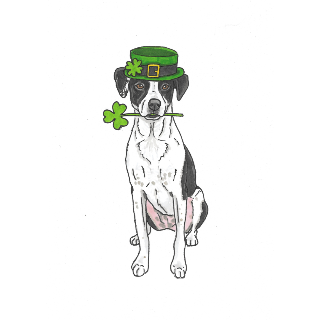 St Patrick's Day Pet Portrait Illustration