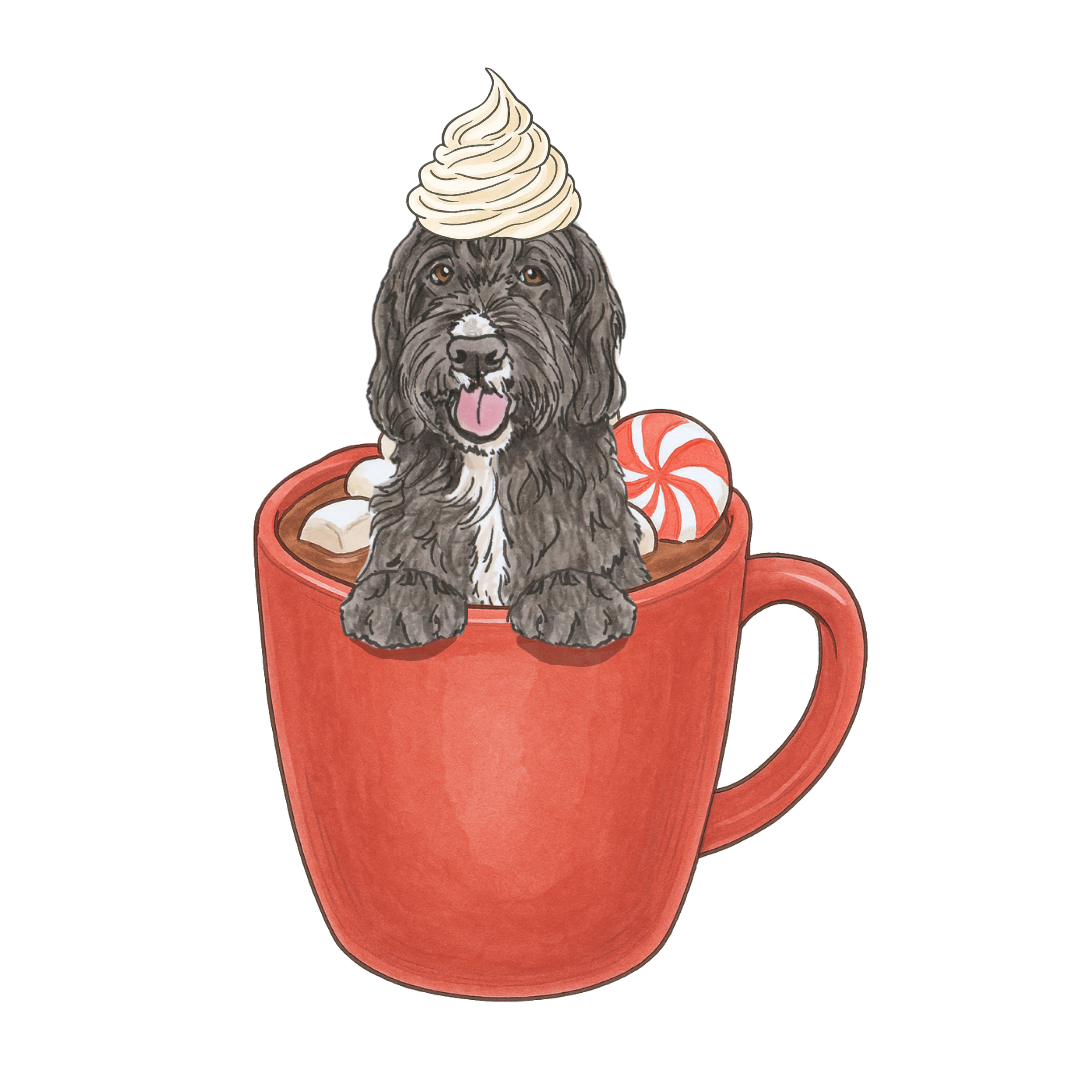 Hot Chocolate Add-on