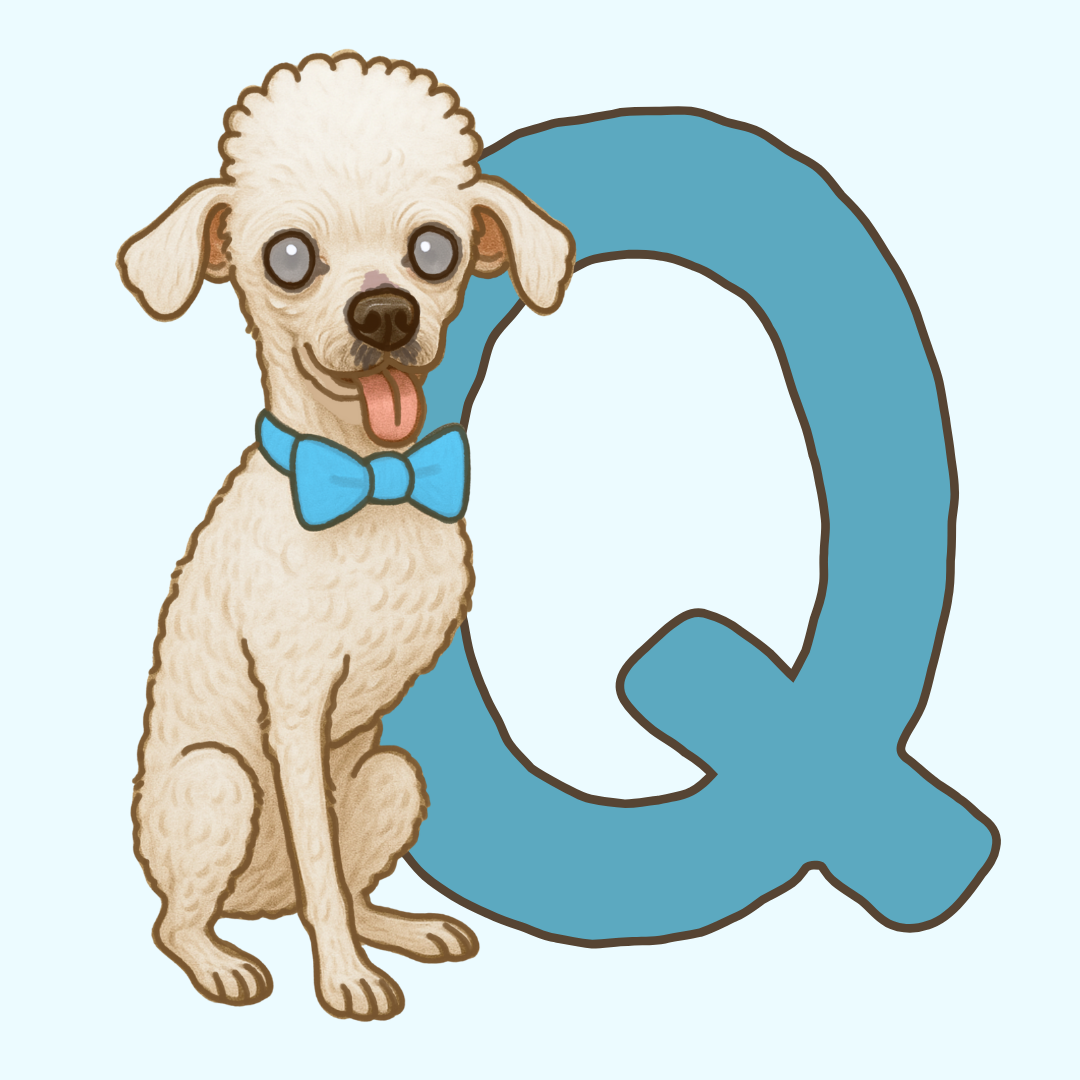 Pet Sketch