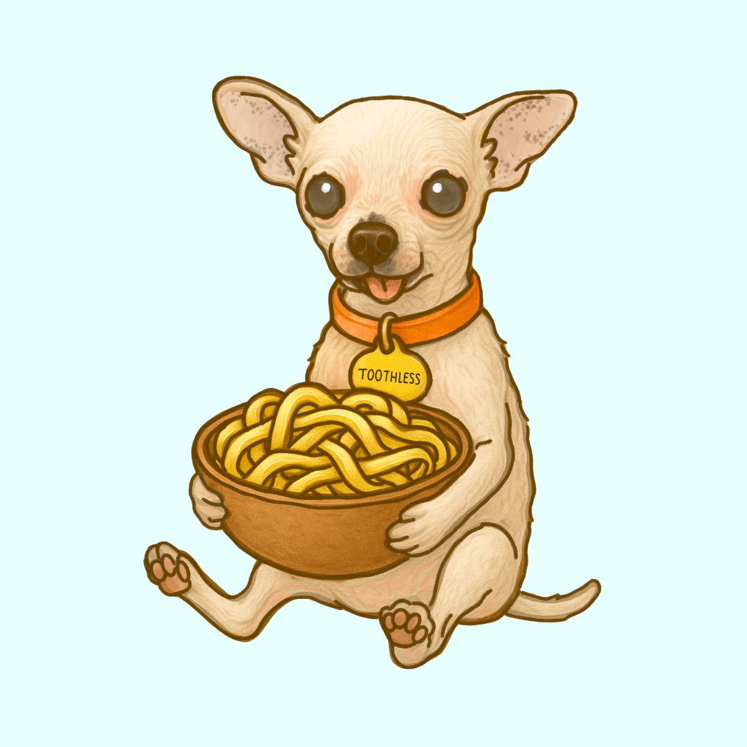 Pet Sketch