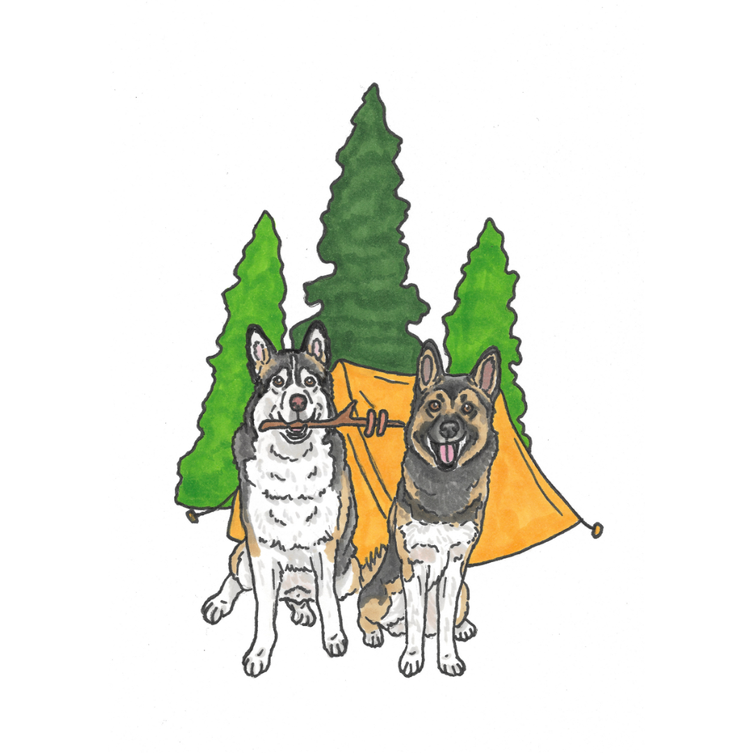 Summer Pet Portrait Illustration