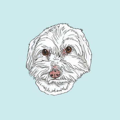 Pet Portrait Illustration - Headshot