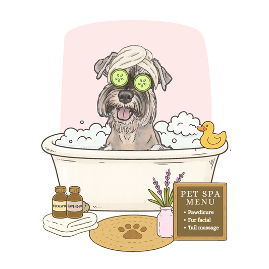 Spa Day Add-on