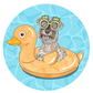 Pool Party - Full Float Fun