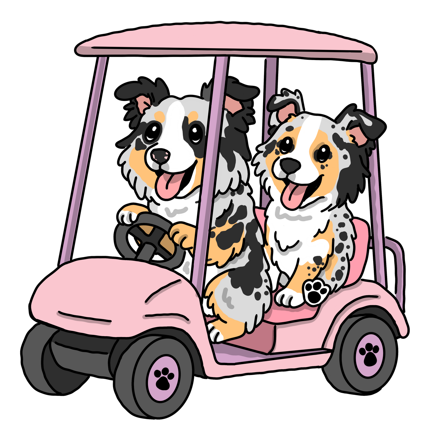 Pet Sketch