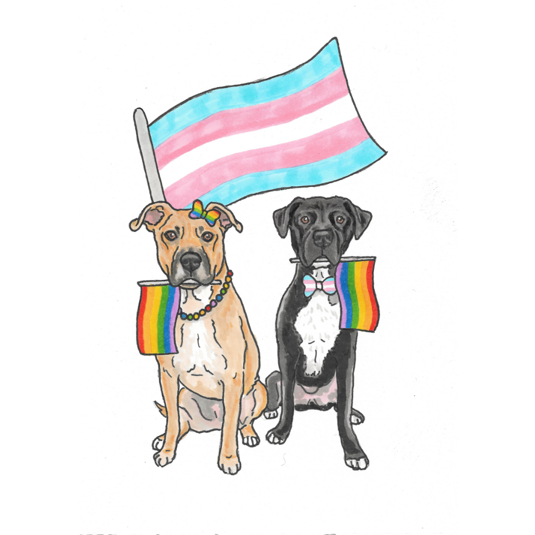 Pride Pet Portrait Illustration