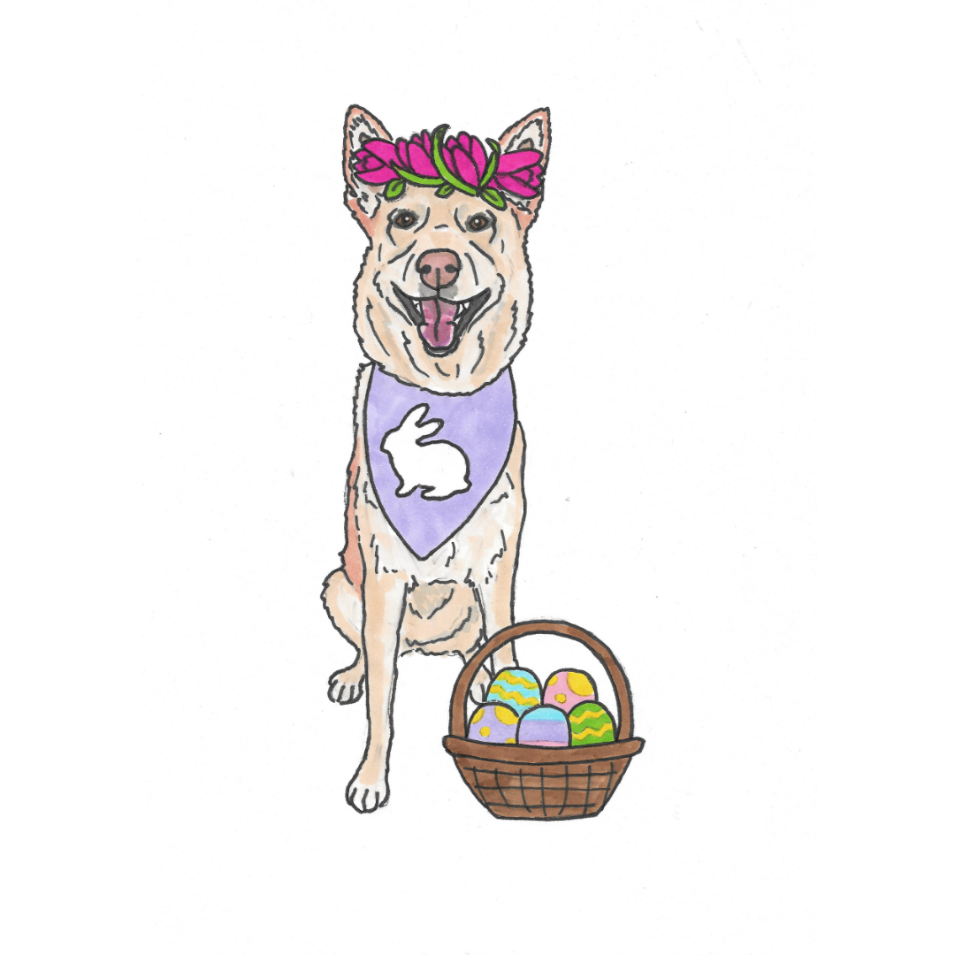 Spring & Easter Pet Portrait Illustration