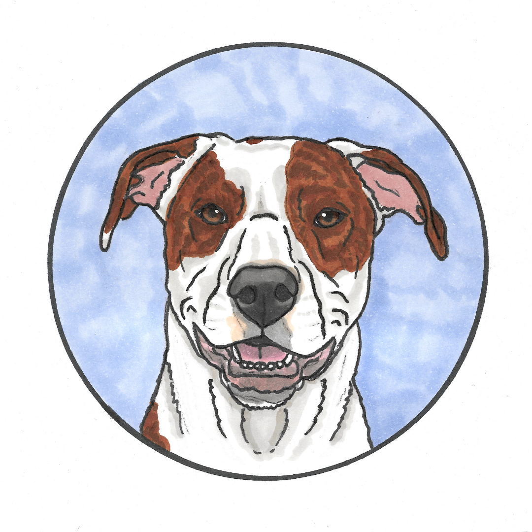 Round Pet Portrait Illustration