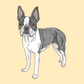 Digital Full-body Pet Portrait - Classic