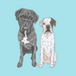 Digital Full-body Pet Portrait - Classic