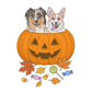 The Great Pupkin Add-on