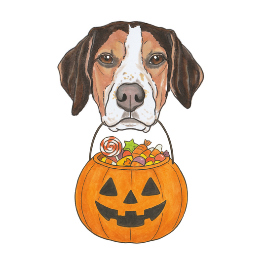 Pumpkin Pail Add-on
