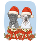 Paw-liday Gift Box Add-on