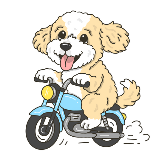 Pet Sketch