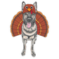 Turkey Costume Add-on