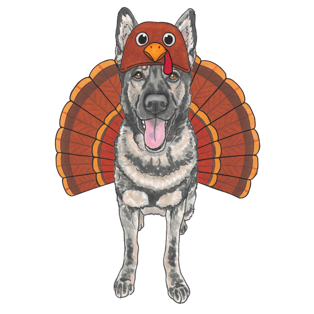 Turkey Costume Add-on