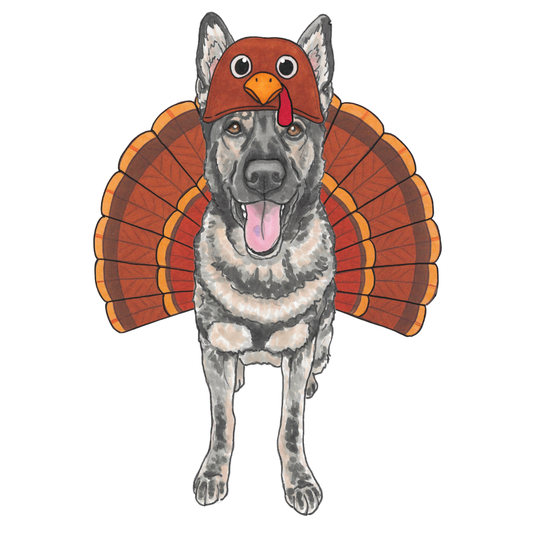 Turkey Costume Add-on