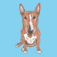 Digital Full-body Pet Portrait - Classic